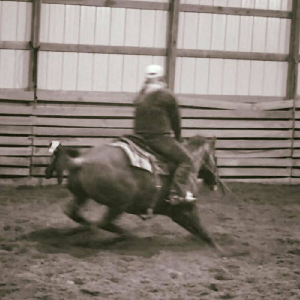 Meet your Posher, Morgan